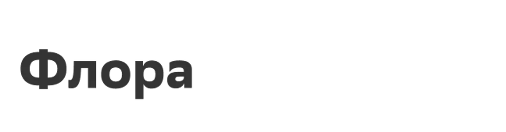 Флора