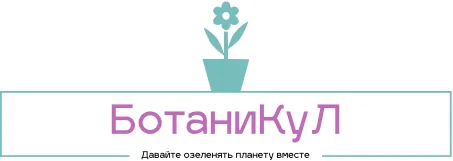 БотаниКуЛ