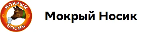 Мокрый Носик