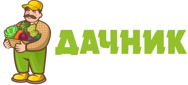 Дачник